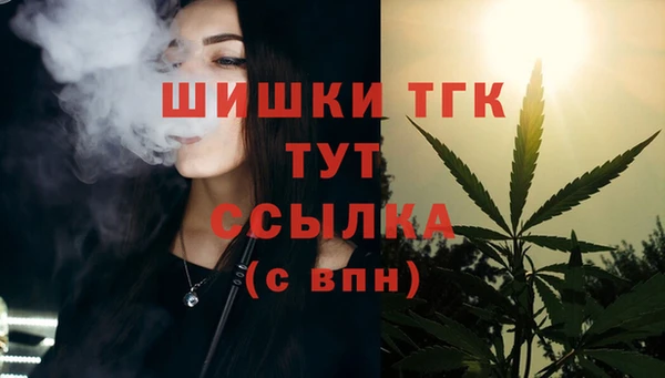 соль ск Арсеньев