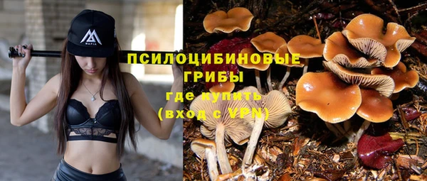 spice Армянск